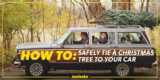 How to Tie a Christmas Tree To Your Car